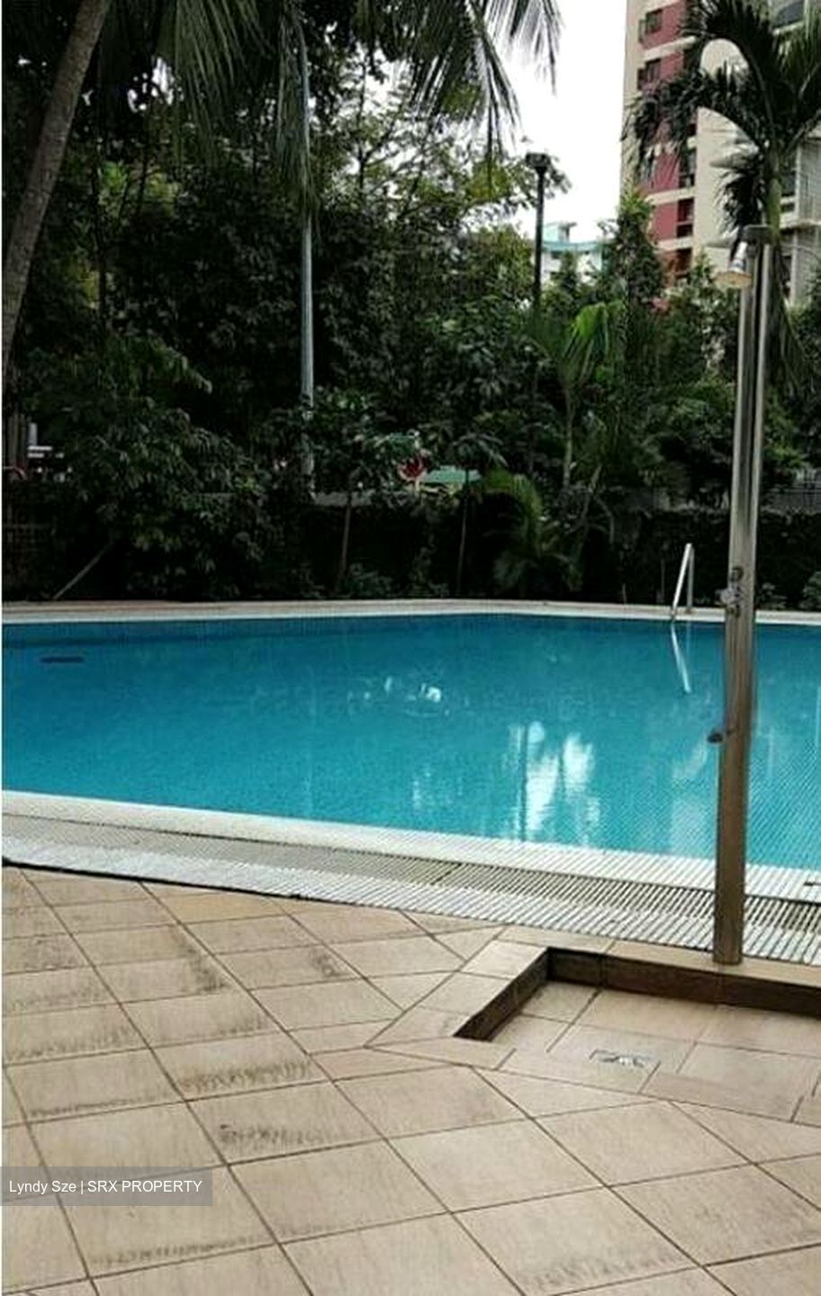 Rajah Tower (D12), Apartment #520667091